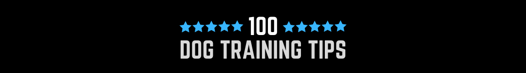 100 Dog Training Tips